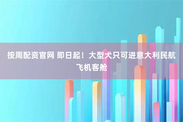 按周配资官网 即日起！大型犬只可进意大利民航飞机客舱