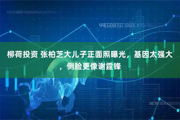 柳荷投资 张柏芝大儿子正面照曝光，基因太强大，侧脸更像谢霆锋