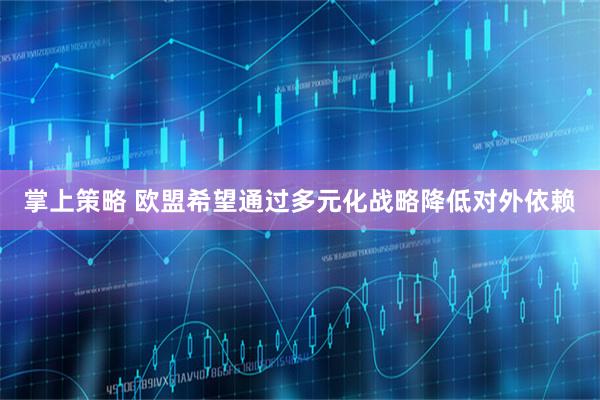 掌上策略 欧盟希望通过多元化战略降低对外依赖